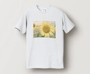 オリジナルTシャツデザイン制作します Canvaでデザイン制作を行い完成データのみ納品いたします。 イメージ7