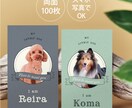 写真入り犬猫ペット名刺　色と書体が選べます 歴15年のデザイナーが作るセミオーダー名刺100枚送料込 イメージ1