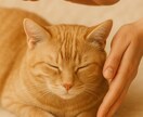 ペット用⭐︎遠隔ヒーリングいたします ペットにも癒しのエネルギーをお届けします イメージ3