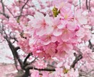 占い鑑定しません！14日間あなたのお話伺います 2週間どんな話でも！多数ご要望により創設メッセージ型人生相談 イメージ1
