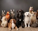 ヒーリング、チャクラ調整、願望実現、浄化昇華します 心と体に響く、波動の魔法を体験しませんか？ イメージ6