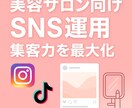 美容サロンのSNS投稿作成します 美容サロン専門SNSで集客力を最大化 イメージ1