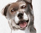 大切なペットの絵を水彩風に描きます 大切な家族のペットの写真をオシャレに水彩風に描きます イメージ5