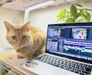 満足度の高い動画編集をします クオリティはもちろん！納品、レスポンス素早く対応いたします！ イメージ2