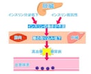 糖尿病療養指導士レポート課題添削致します 課題にはポイントがあります。これを受ければ抑えられます。 イメージ3