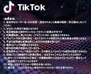 TikTok再生数＋10000回増加します 再生数＋10,000回～ TikTok宣伝・拡散します イメージ5