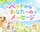 ペットからあなたへ★メッセージお伝えします 霊視カード★大切な家族からメッセージがあります✨ イメージ1