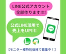 LINE公式アカウントを構築・運用します LINEの各サービスをフル活用し、売上UPの手助けをします イメージ1