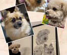 ペットの絵を三角形のみで表現して描きます ボールペンの線の密度で立体感を表現!! イメージ5