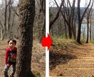 高解像度の印刷データも☆写真加工全般丁寧に承ります 実務経験あり☆色補正、変換、切抜き、文字入れ、除去、合成など イメージ2