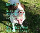 心の曇り空、意識改善、人生迷子等のお手伝いします 思考方を少し変えるだけで、今までとは違う景色が見え始めます！ イメージ1