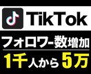TikTokフォロワー+1000人から増加します 先着5名様限定 特別価格！ ※埋まり次第値上げします イメージ1