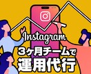 Instagram【３ヶ月】チームで運用代行します プロマーケタが「戦略×投稿×長期運用」でチーム運用代行します イメージ1