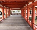 愚痴や相談、気楽にご相談を！耳傾けます 50代の女性です！人生色々あるよ！ イメージ4
