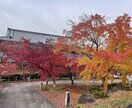 1月特別企画として破格で視ます 2025年、新しいスタートとして特別企画として行います。 イメージ1