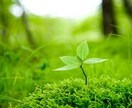 愚痴を聞きます 寂しい時、突然…虚しくなった時に貴方の側でお話を聞きます。 イメージ3