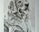 鉛筆画でペットのリアル似顔絵を手描きで作成致します 犬・猫を鉛筆で細部まで丁寧に描きます！ イメージ9