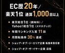 楽天総合1位のノウハウで商品LP制作します 楽天・Yahoo総合1位(2008・2013・2022) イメージ5