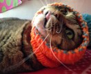 編み物代行してお編みいたします ワンちゃん（犬）ネコちゃん（猫）ベビー（赤ちゃん）ニット イメージ3