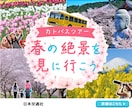 バナー/ヘッダー/SNS/サムネ等　制作いたします 修正無制限！高品質！低単価！全サイズ同一料金！ イメージ4