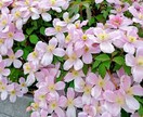 心がしんどい時のための、やさしい傾聴をします がんばりすぎて疲れた心を、そっと休める時間をつくります。 イメージ1
