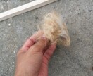 ネイティブインディアンの火起こしをお見せします アウトドア好きの方、お子さんに良いところをみせたいパパへ！ イメージ3