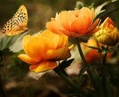 あなたの心が平和になる事を、私は願っています あなただけの相談相手となり、解決へ導きます。 イメージ4
