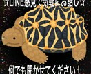 どんなお話しでも聞かせて下さい！待ってます 友達感覚で気軽に愚痴から雑談、何でも待ってます⭐︎ イメージ1