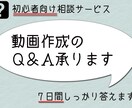 7日間動画作成のアドバイス致します 動画作成のQ&Aにお答えします イメージ1