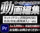 高品質な動画を迅速に制作します 動画編集を丸ごと任せたい人必見! イメージ1