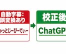 字幕・文字起こしを20分3,000円で作成します SRTとテキストで納品。20分まで3,000円・2日 イメージ2