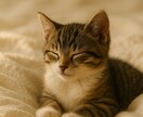 写真で作る優しいＰＲ動画を作成します 写真だけで、心に届くやさしいPR動画を制作します。 イメージ3