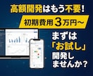 3万〜！独自システムをお試し価格で構築します 販売実績150超えのエンジニアが独自システムを構築します！ イメージ1