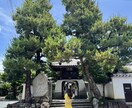 映える滋賀の旅プラン作成します 美しい景色や驚きの体験など映える旅を紹介します イメージ4
