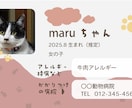 ネコさんの記録カード作成サポートをします 可愛い家族の成長記録や体調管理に使えるカードです。 イメージ5