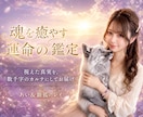 魂の真実を読み解く◆あなたの人生を読み取ります 迷いの霧が晴れる納得感✨あなたの未来を照らします イメージ2