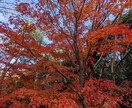 介護のお悩みお聞きします ☆介護されているご家族の方のお悩みを解決☆ イメージ1