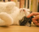 不安や考えすぎでしんどい時、お話聞きます 強迫性障害でつらい気持ちを抱えているあなたへ✨ イメージ4