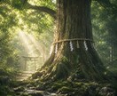 魂に刻まれた宿命と使命を霊視します 生まれてきた意味と今世で進むべき道を紐解きます イメージ2
