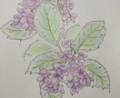 植物や人物のイラストを描きます 元漫画家の卵ですイラスト全般、文章も書けます イメージ2