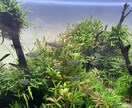 疲れた心に寄り添います 生きてるだけであなたはエライ！そんなあなたのサポートをします イメージ1