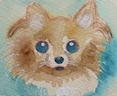 大切なペットをやさしい手描きイラストにします いつもの可愛い姿を、手描きの一枚に残しませんか？ イメージ6