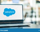 Salesforce開発・運用のご相談承ります メッセージからの打ち合わせ用です。まずはご相談ください。 イメージ1