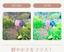 1000円で最大3枚！写真を彩り豊かに加工します 旅行の景色や食べ物など思い出の1枚や、SNS用にも✨️ イメージ1