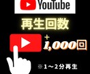 YouTubeの再生回数1000回拡散します 動画の振り分けも可能！平均1～3分再生！ イメージ1