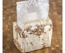 副業。キクラゲ栽培で収入を得るノウハウ教えます 自宅の庭や、駐車場のスペースでキクラゲを栽培して稼ぐ方法 イメージ2