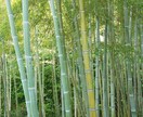 守護霊を通じて恋愛成就への魂の道標を霊視いたします 恋にお悩みのそこの"あなた"片思い/復縁/浮気不倫/音信不通 イメージ4