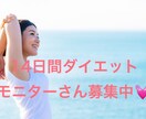 女性モニター特価！14日間ダイエットサポートします ビデオチャット2回付き♪カウンセリング＋エクササイズ指導♪ イメージ1