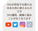 SNS拡散サービスの仕入れ先〜やり方を教えます TikTok、インスタ、Youtube、X、副業におすすめ！ イメージ9