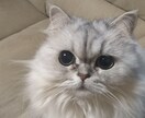 あなたのお話聞きます 愚痴、悩み、「ねぇ、聞いてよ」って事ありませんか？ イメージ1